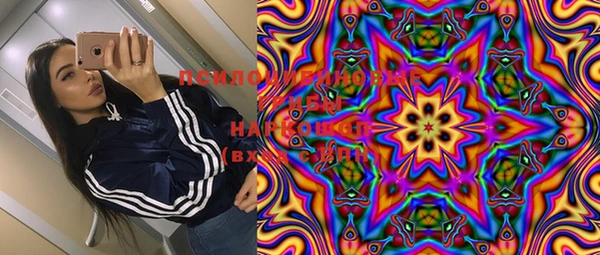 ECSTASY Няндома