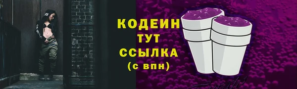 дмт Нязепетровск