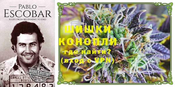 ECSTASY Няндома