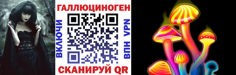 Псилоцибиновые грибы MAGIC MUSHROOMS  где найти наркотики  Козловка 